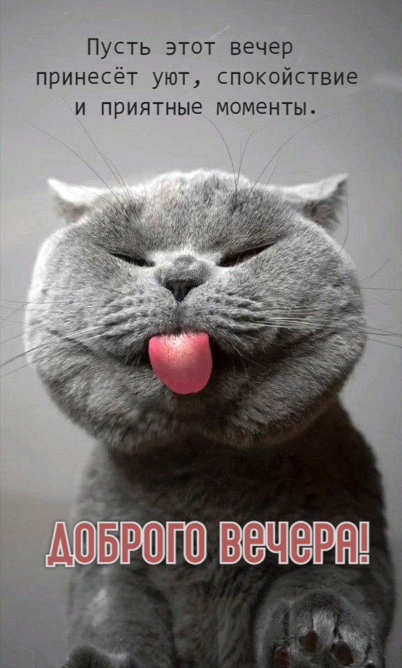 Пусть этот вечер  принесёт уют, спокойствие  и приятные моменты.