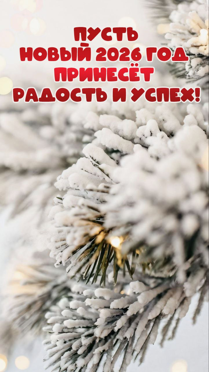 Пусть Новый 2026 Год принесёт радость и успех!