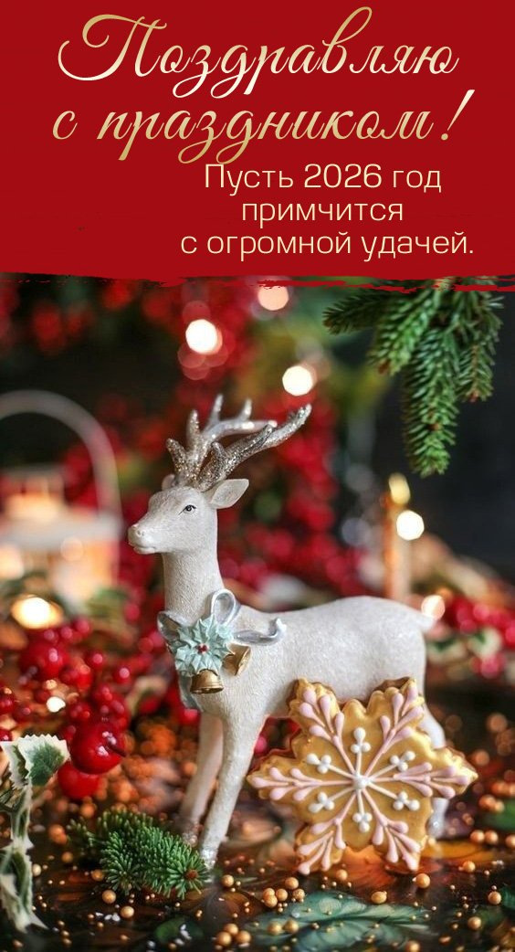 Пусть 2026 год примчится к вам с огромной удачей.