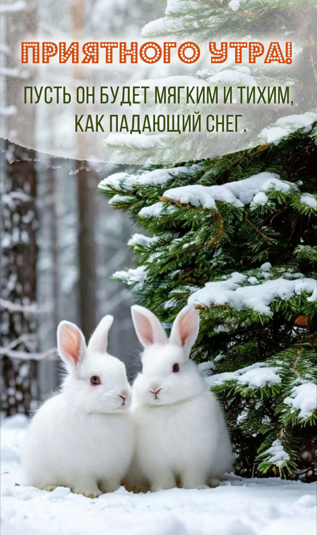 Пусть он будет мягким и тихим