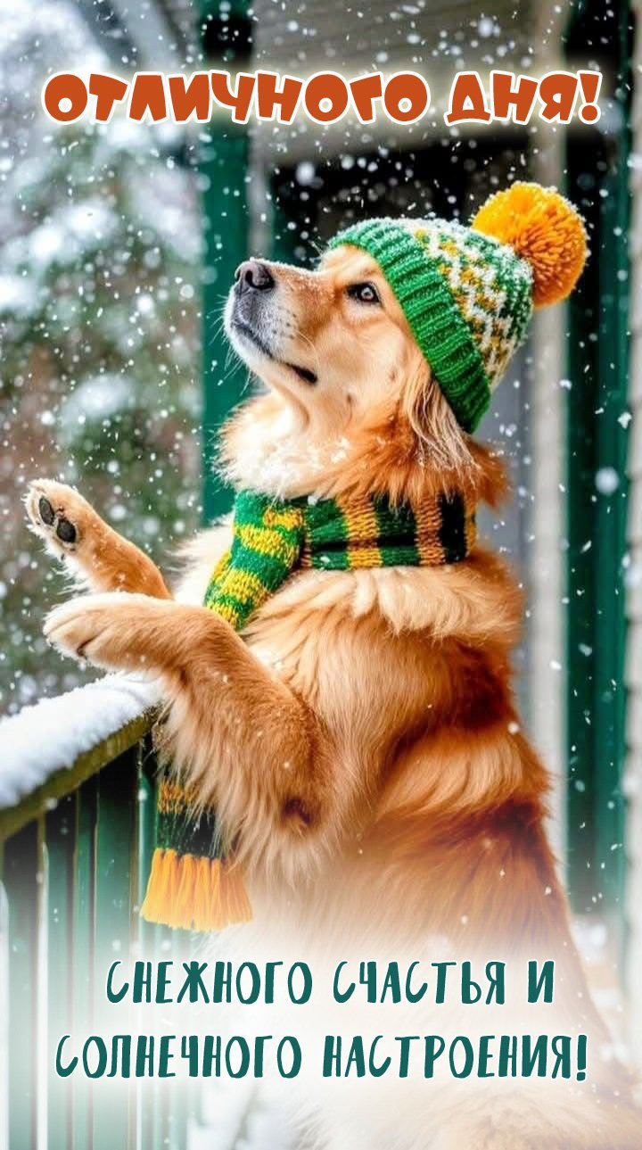 Снежного счастья и солнечного настроения!