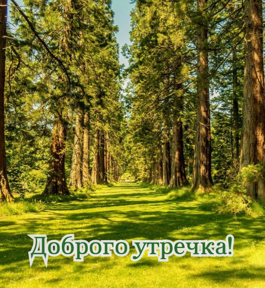 Доброго утречка!