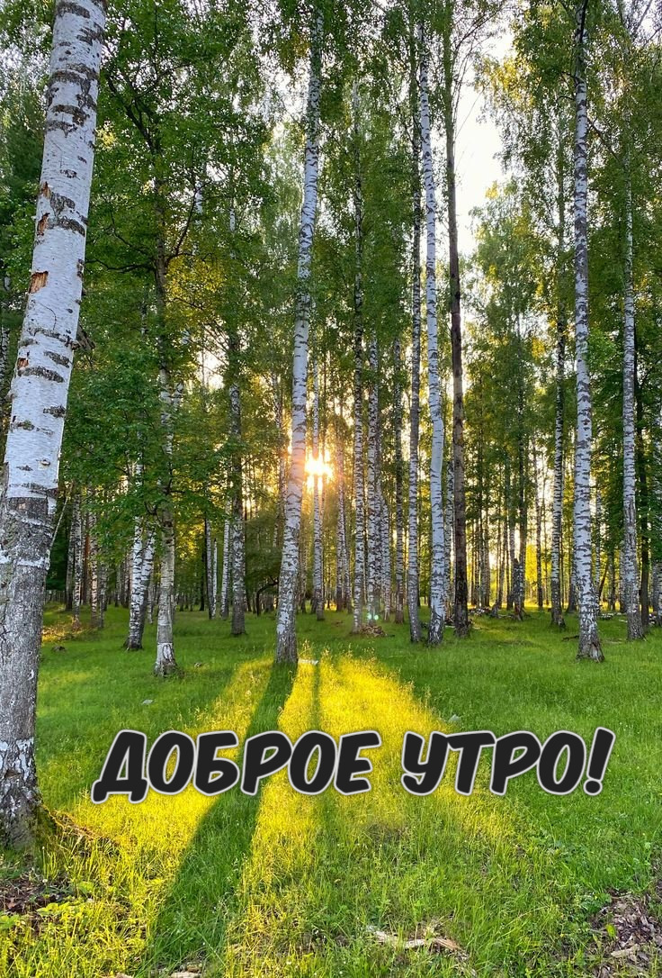 Доброе утро!